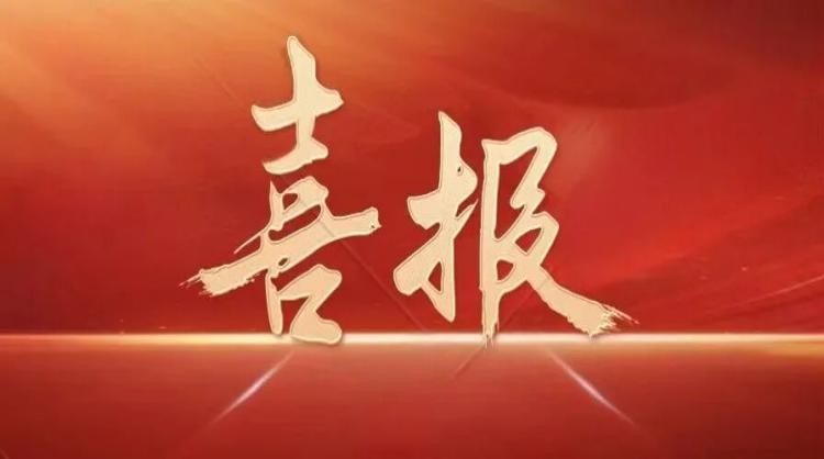 上海淳信机电科技股份有限公司成功中标东方希望集团阻尼器项目